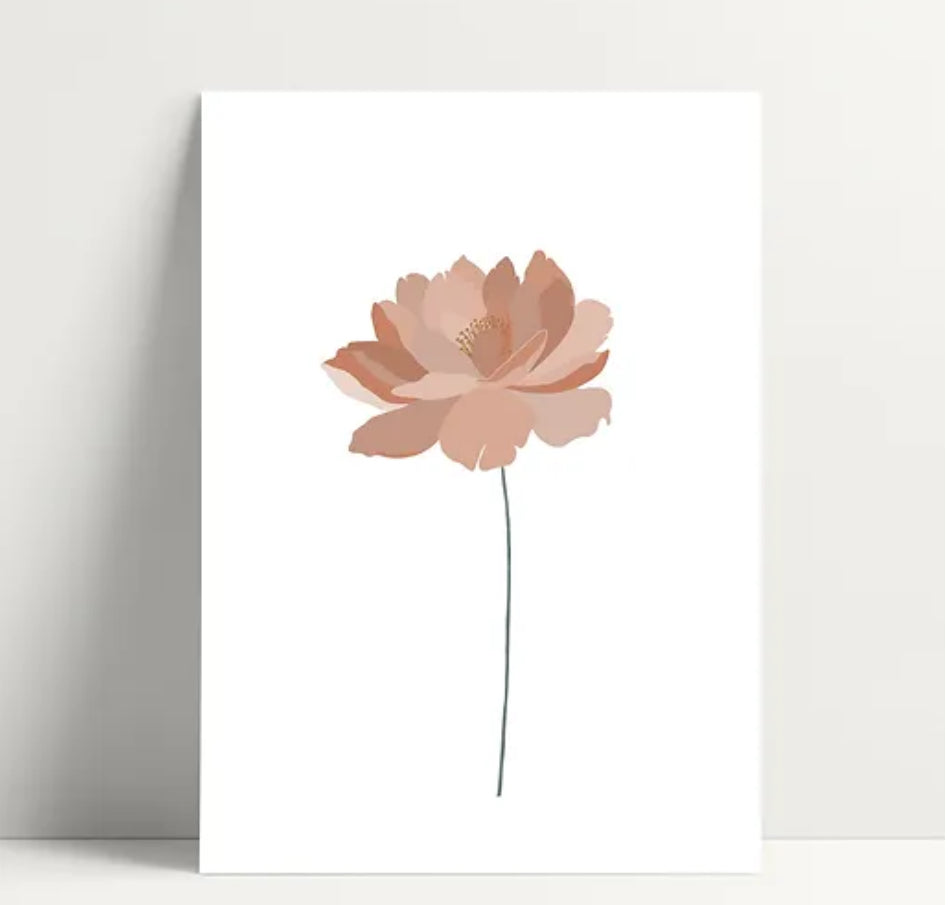 Carte Pivoine