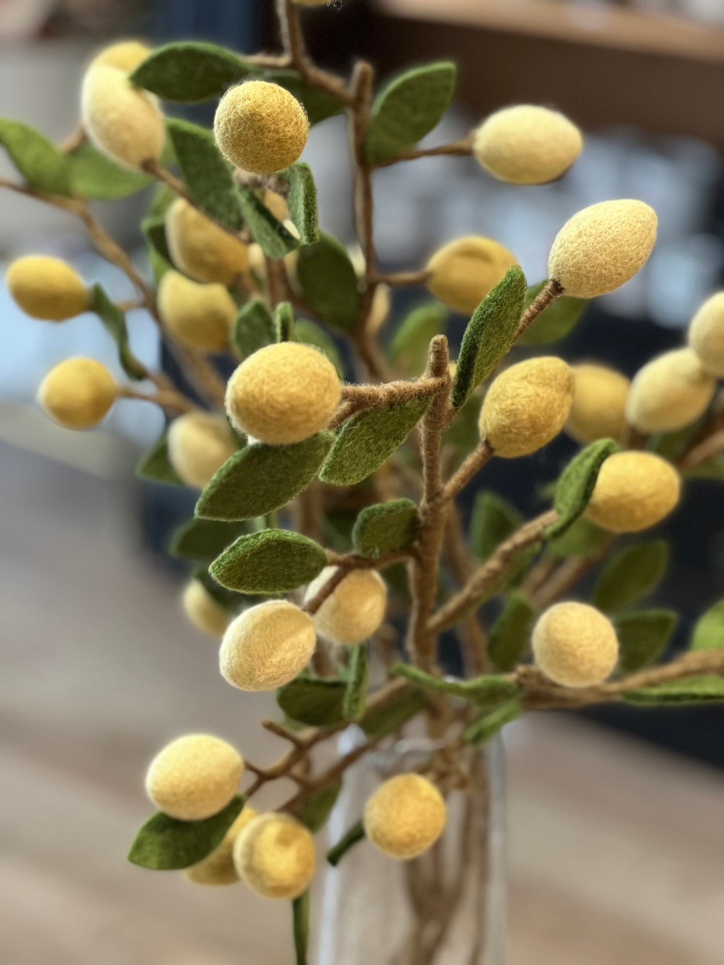 Branche de Citronnier 14734