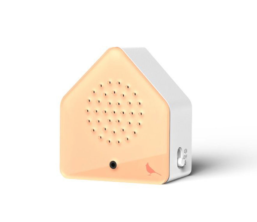 Satellite box ( red cardinal)