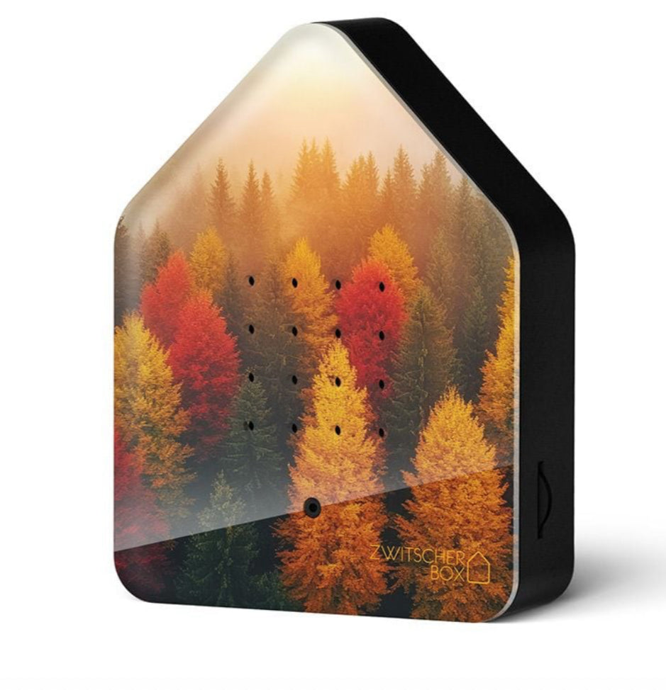 Relaxound Forêt d’automne