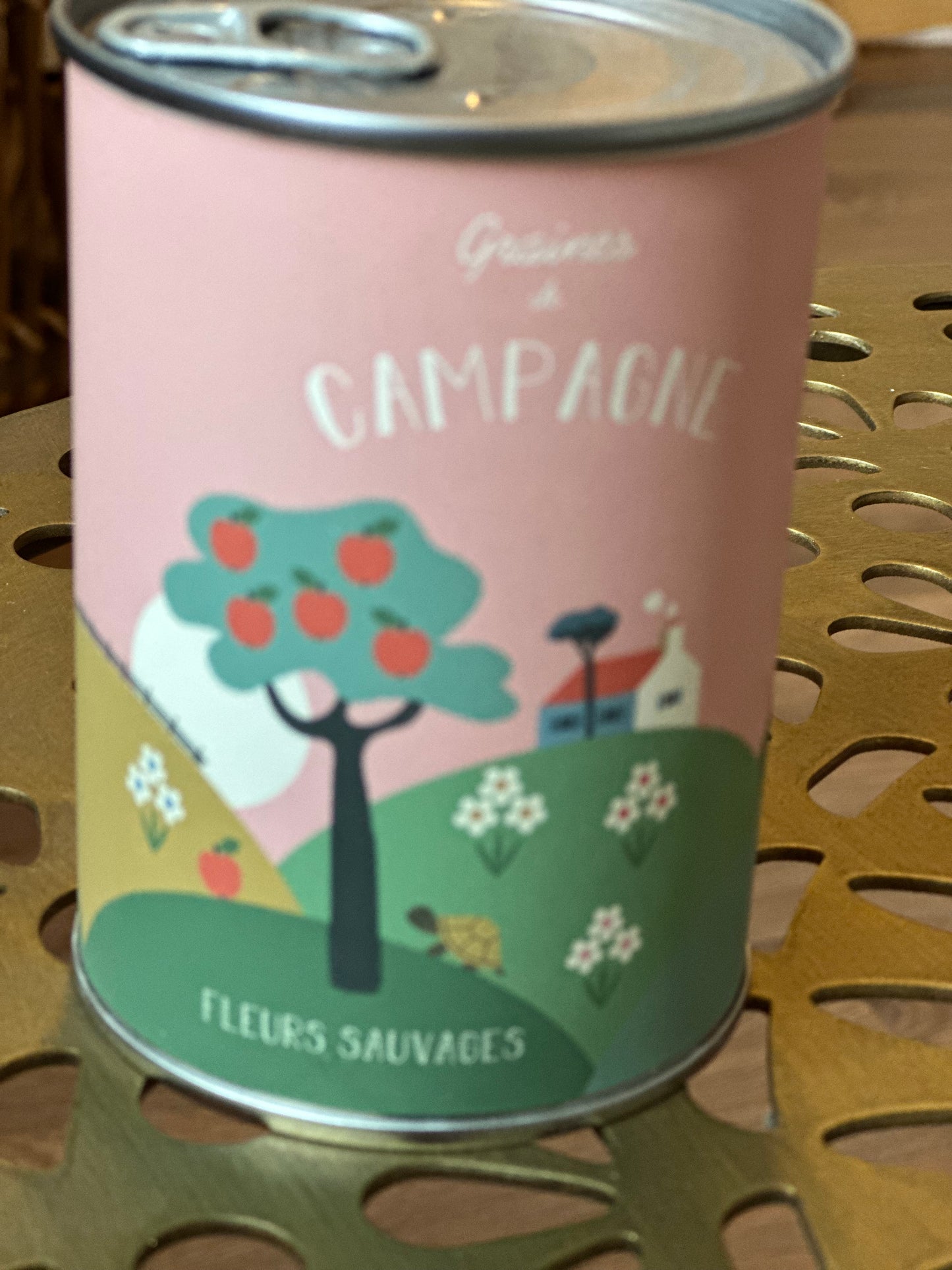 Kit à semer