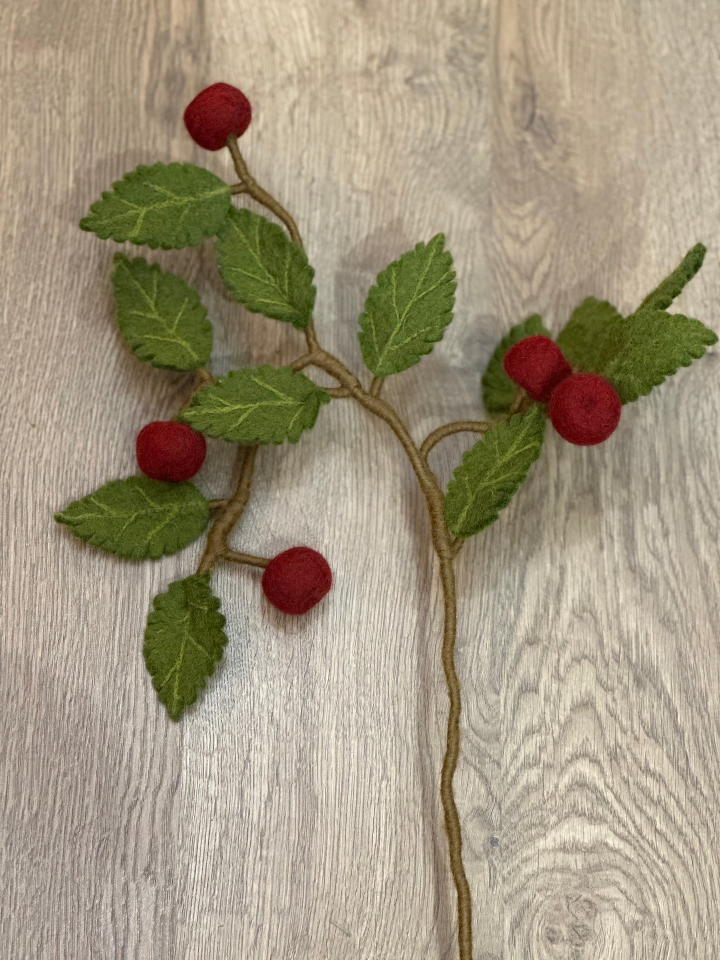 Branche de pommier rouge foncé