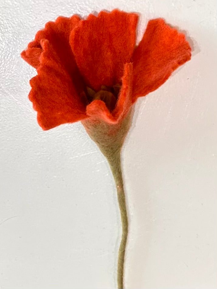 Fleur Pavot Blanc et Corail