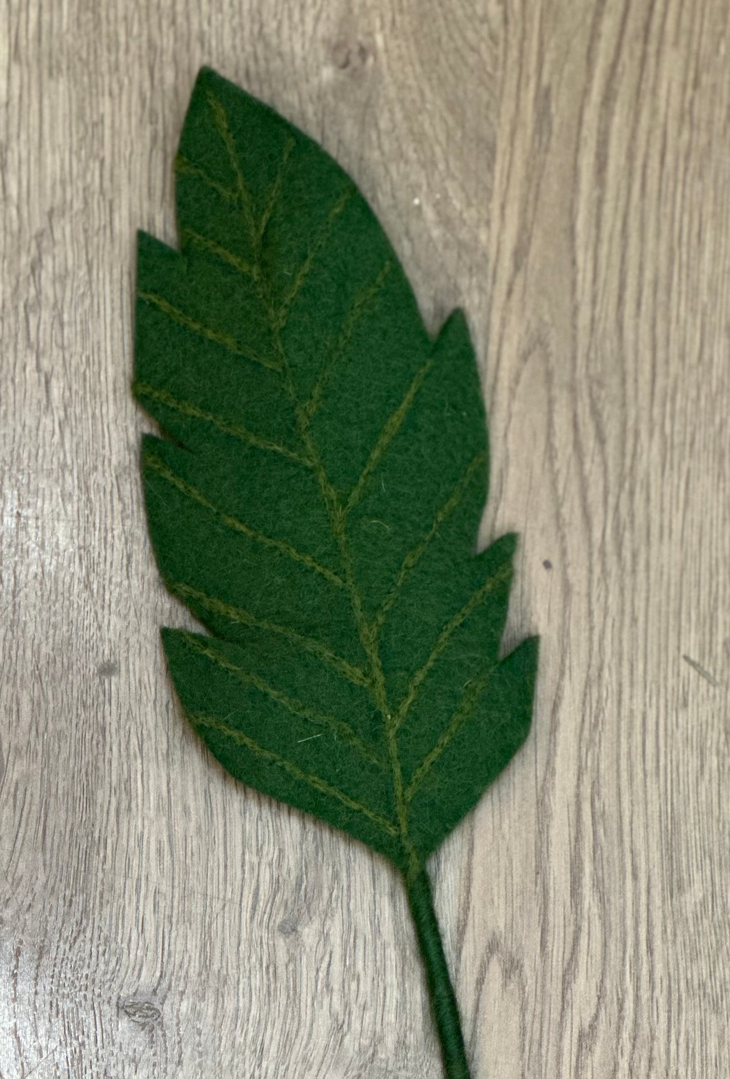 Grande feuille vert foncé