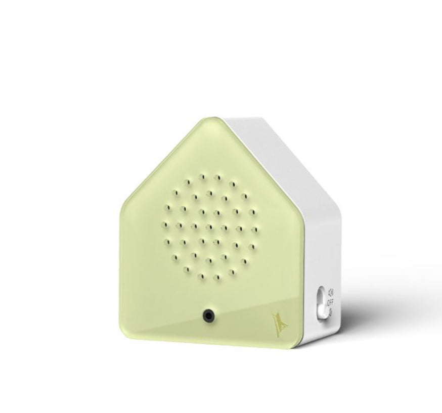 Box satellite Blackbird « chant du merle »