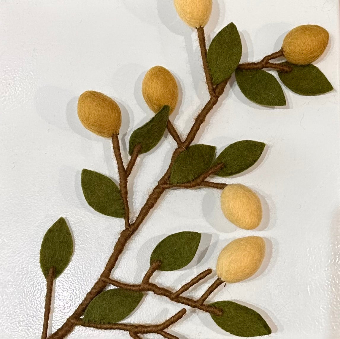 Branche de Citronnier 14734
