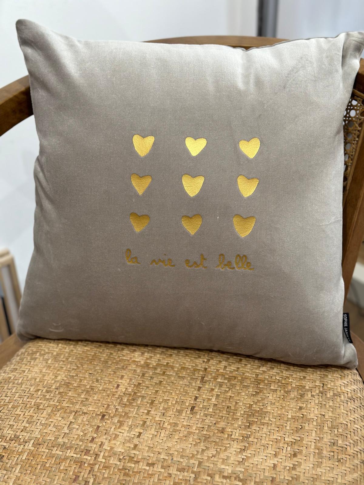 Coussins Velours Carré