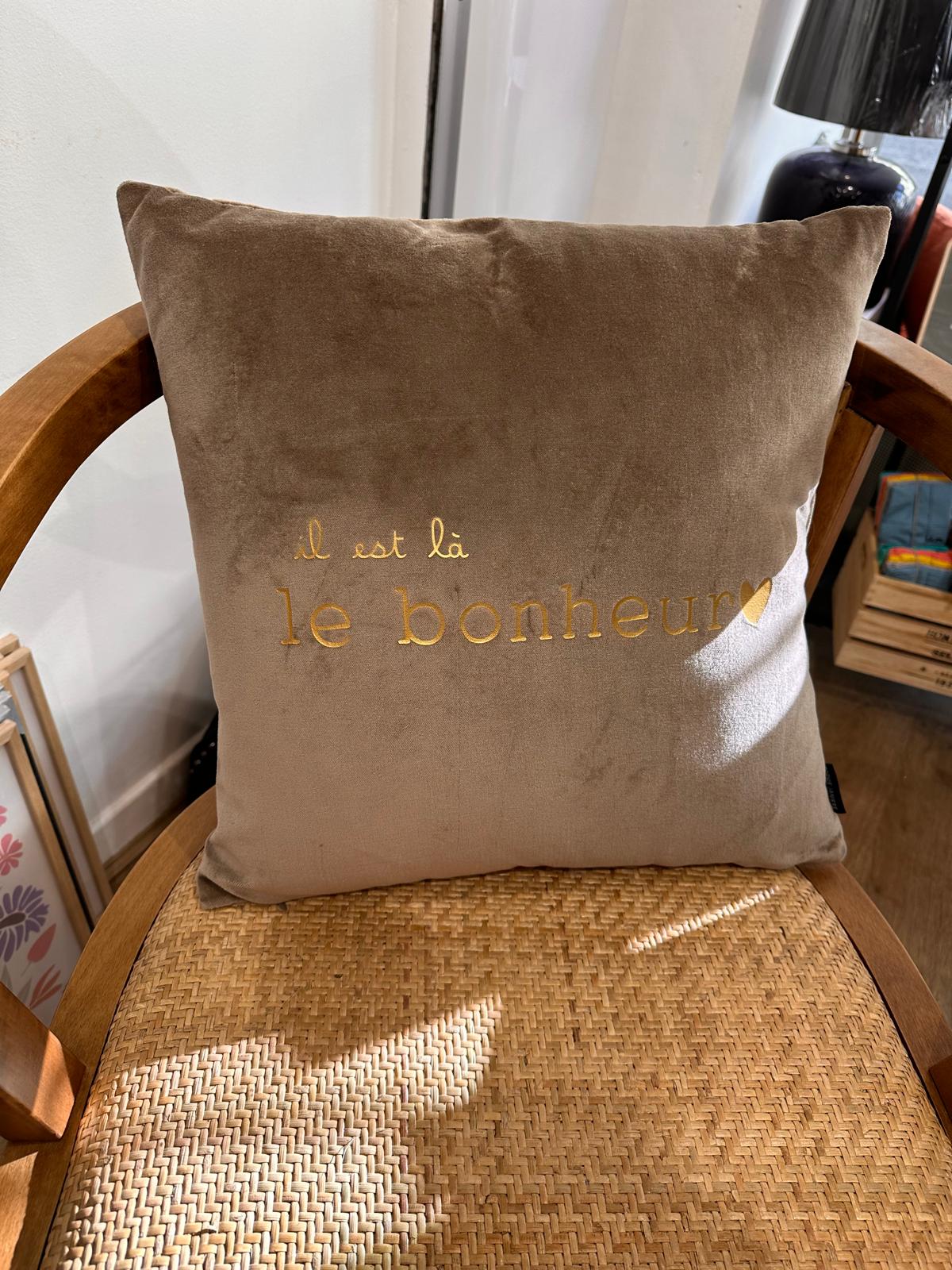 Coussins Velours Carré