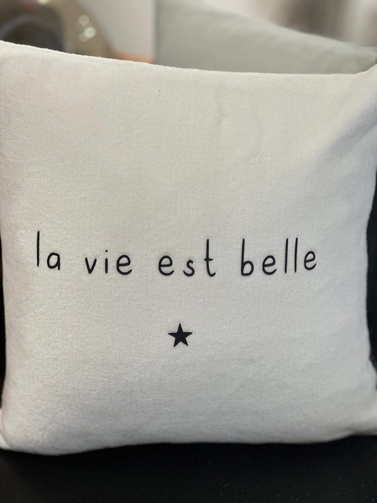 Mini coussins velours