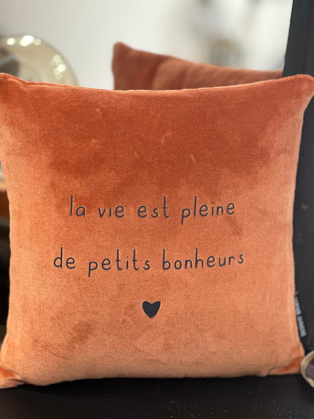 Mini coussins velours