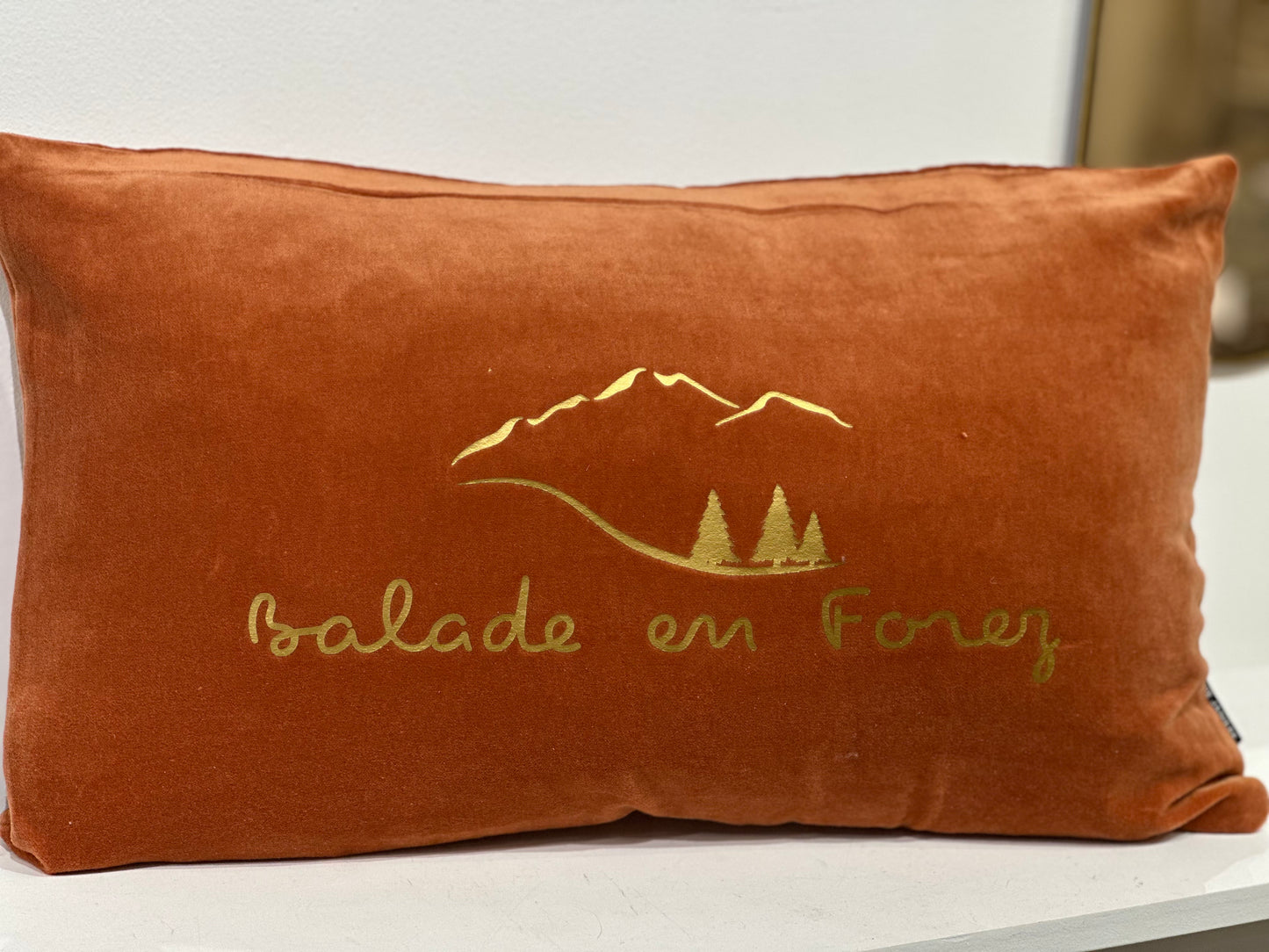 Coussin balade en Forez