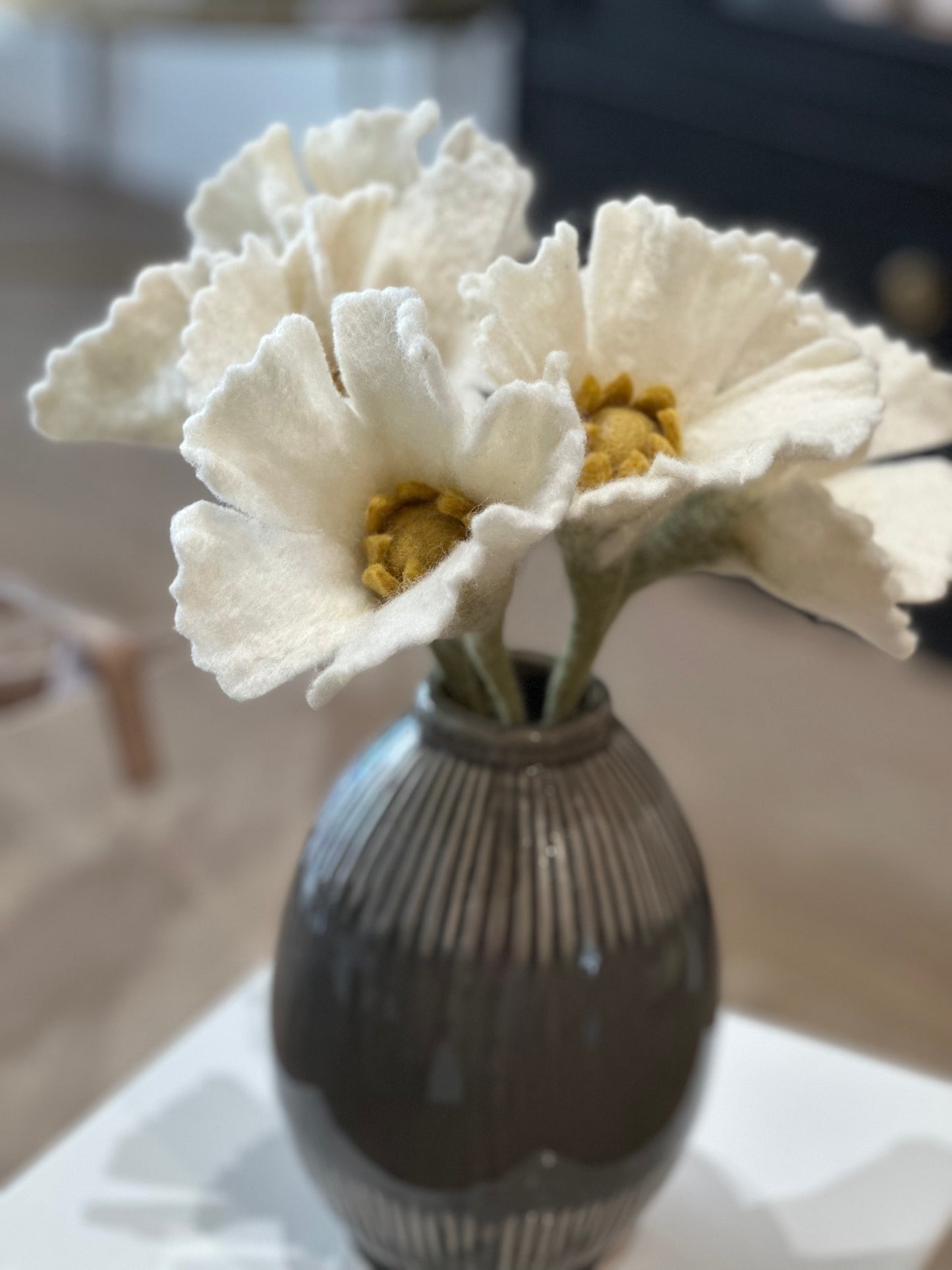 Fleur Pavot Blanc et Corail