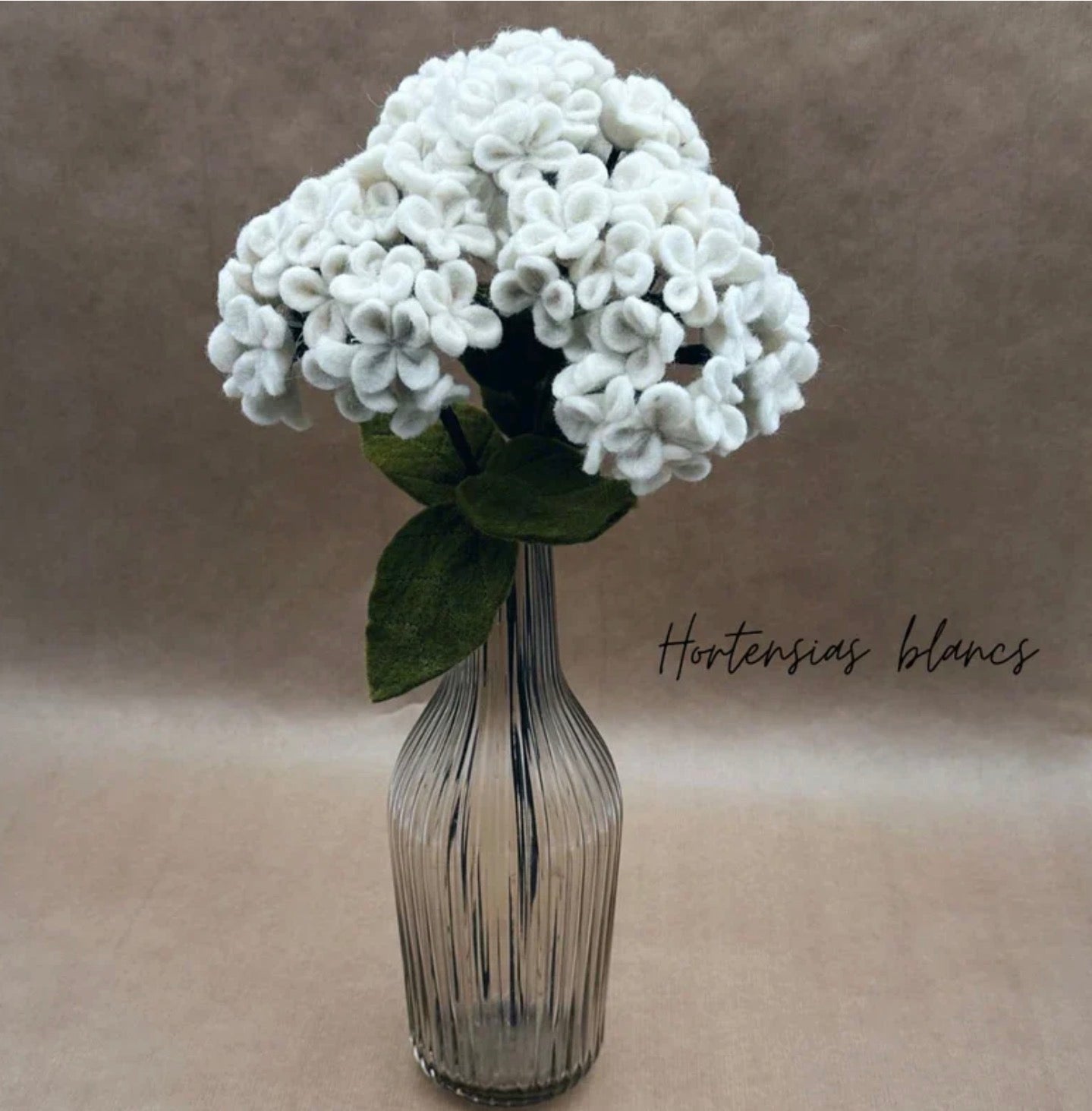 Branche d’ hortensia blanc