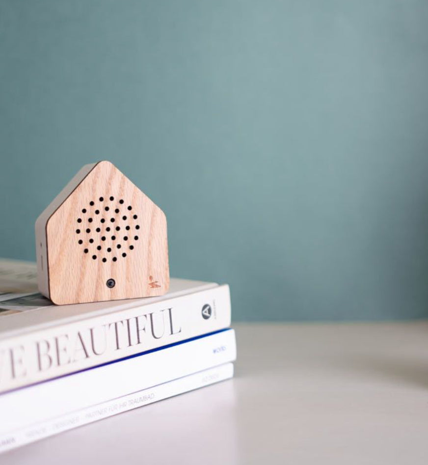 Satellite box ( red cardinal)