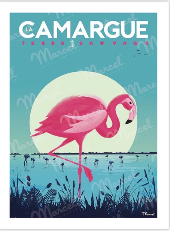 Affiche CAMARGUE « flamingos »