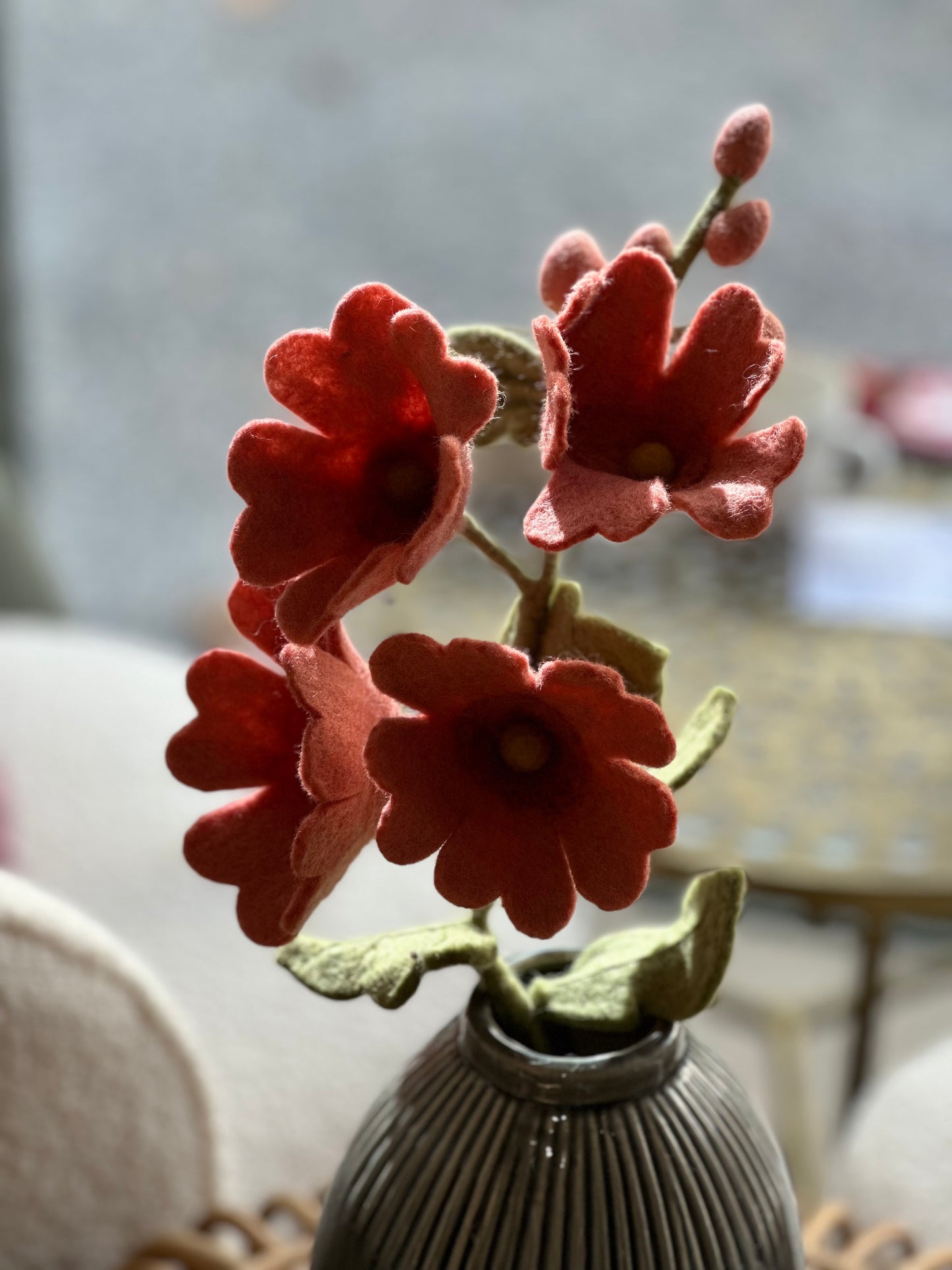 Fleur Rose trémière