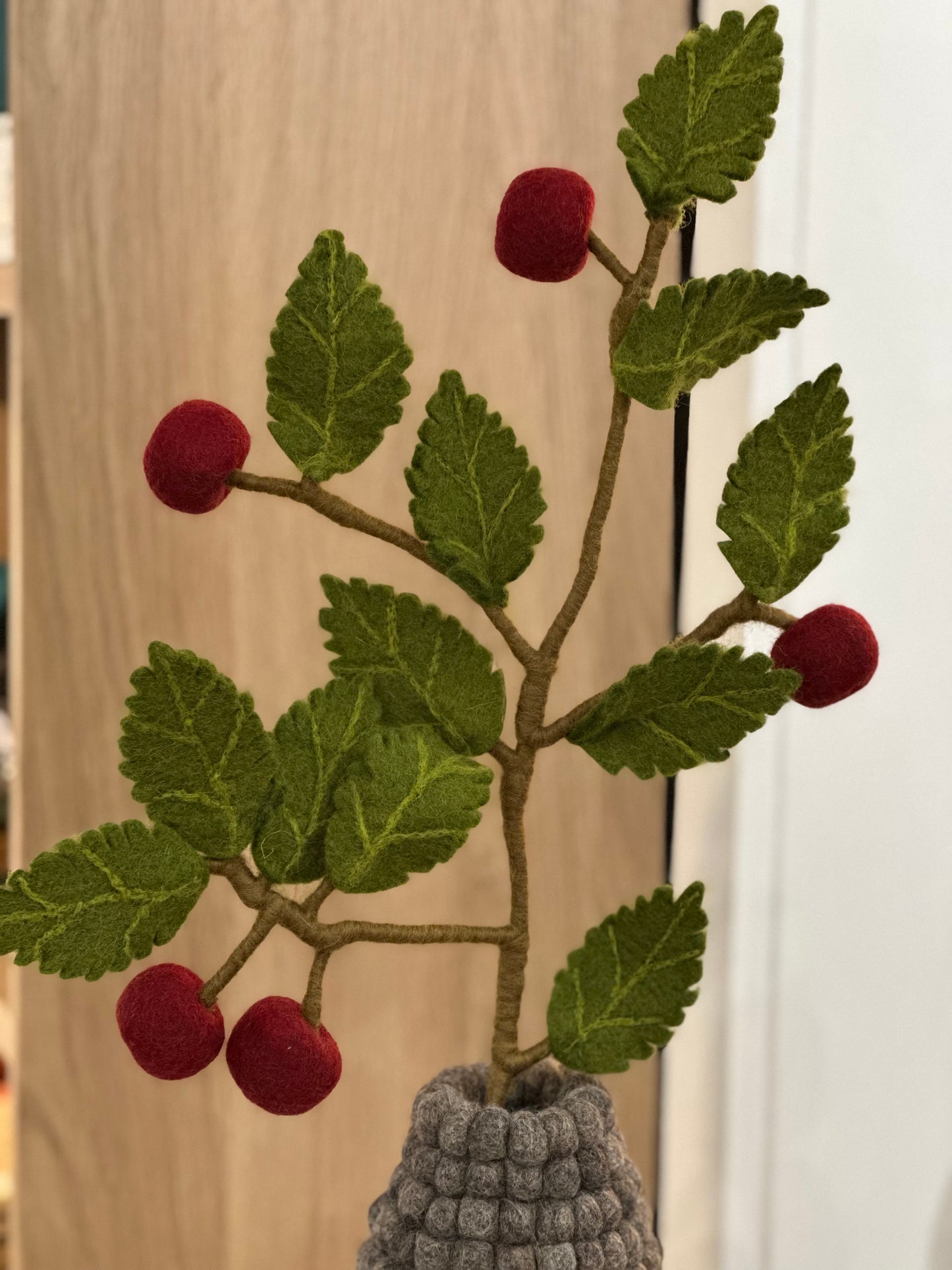 Branche de pommier rouge foncé