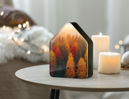 Relaxound Forêt d’automne