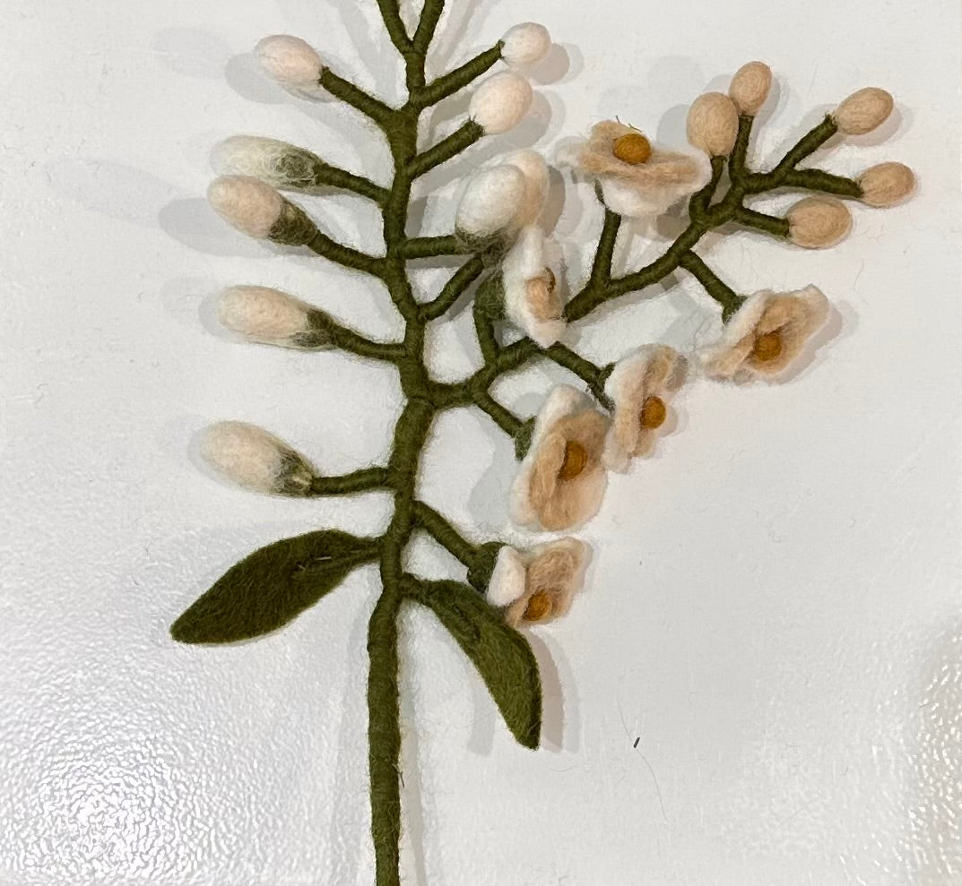 Branche de Glycine 17016