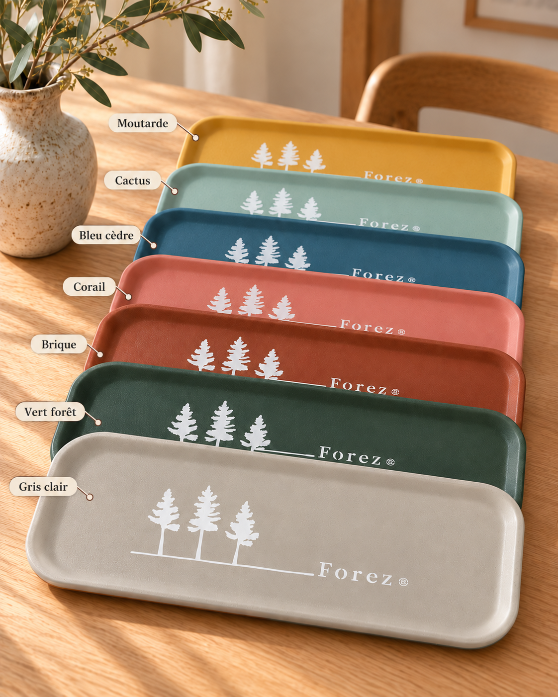 Plateau Forez