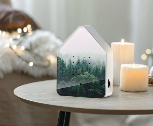 Relaxound Forêt du matin