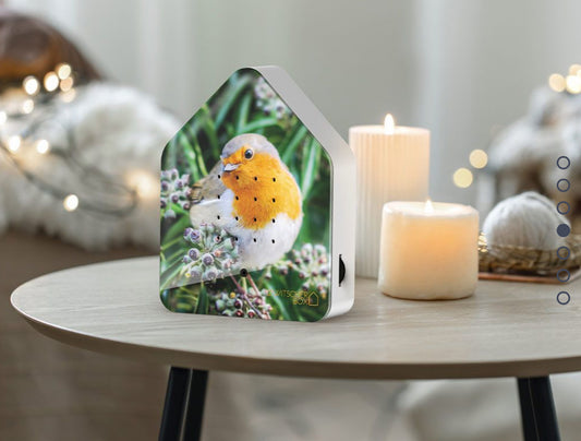 Relaxound box  « chant du Rouge-gorge »