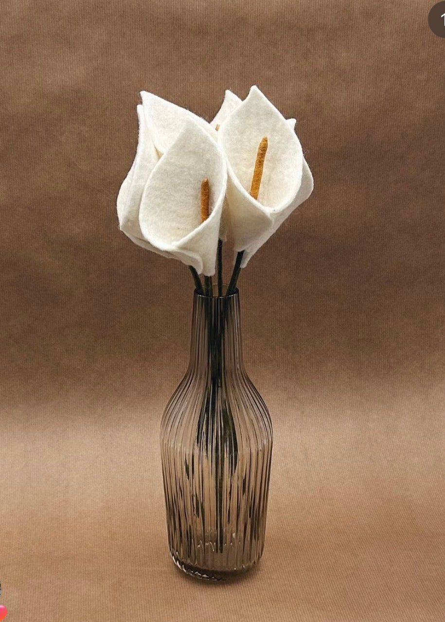 Fleur d’ Arum