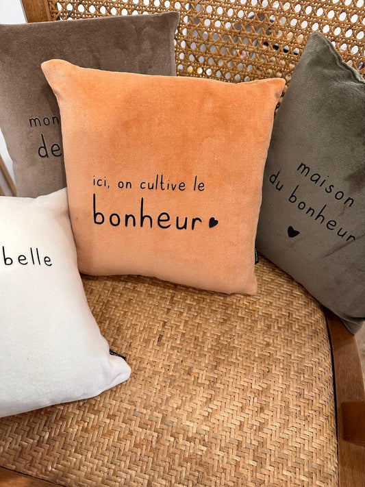 Mini coussins velours