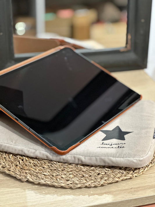 Pochette ordinateur velours