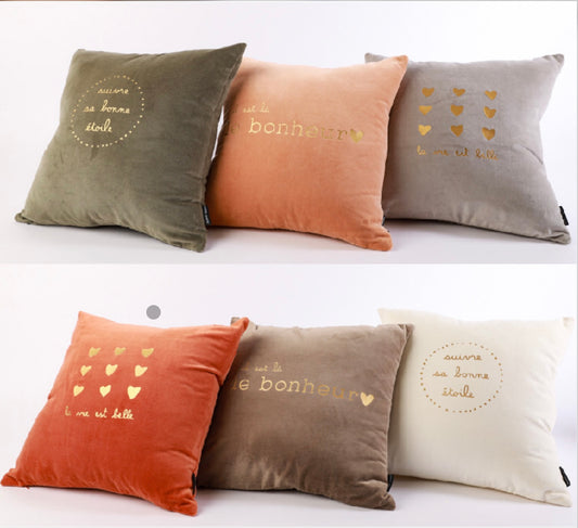 Coussins Velours Carré